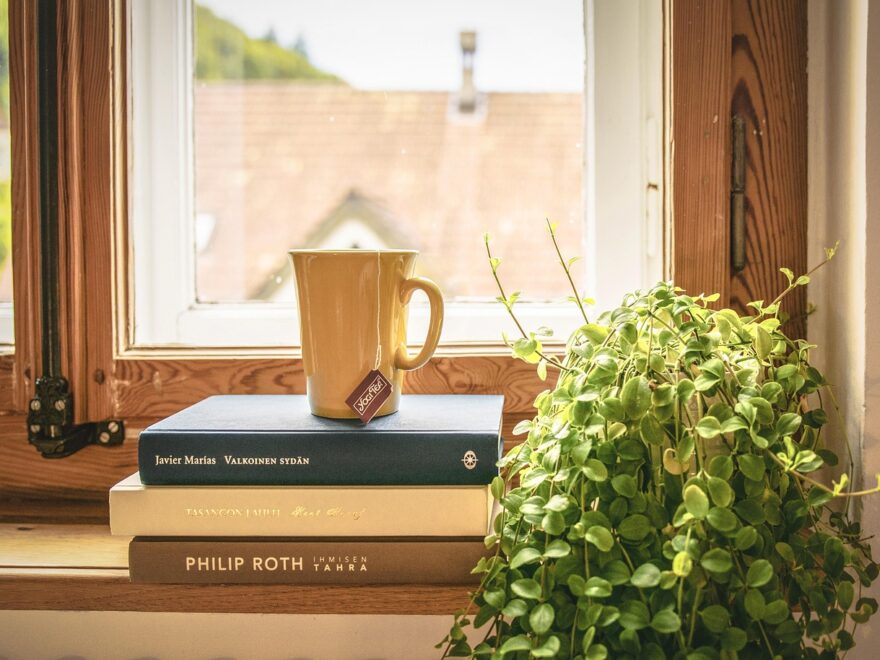 book, read, tee, literature, window sill, houseplant, window frames, novel, home, apartment, cup, book, book, book, book, home, home, home, home, home, apartment